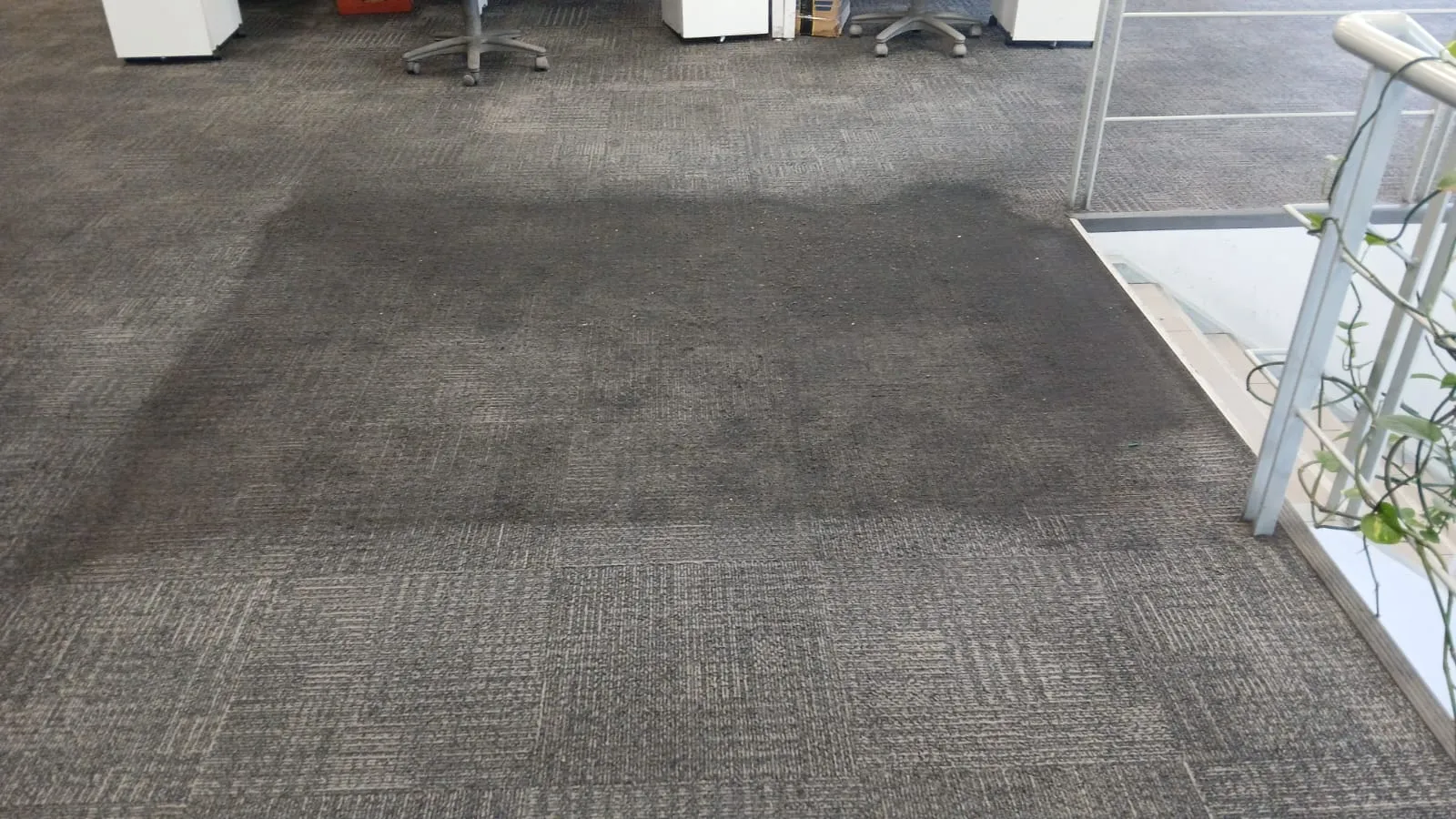 Servicio de limpieza MGCleanogar en gallery 157