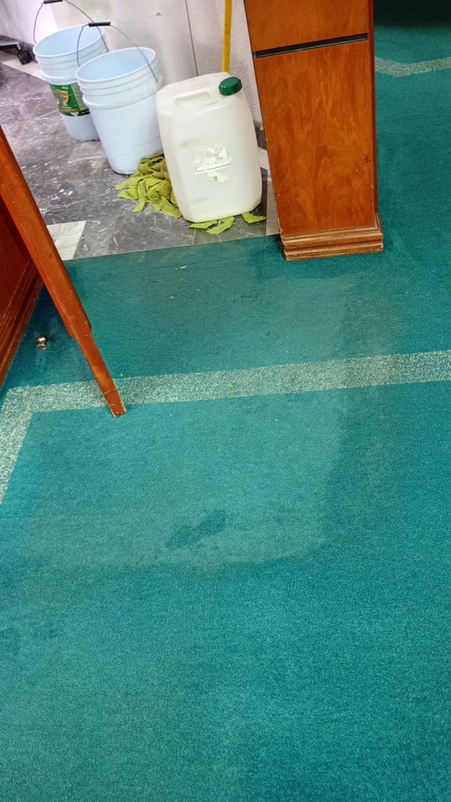 Servicio de limpieza MGCleanogar en gallery 132