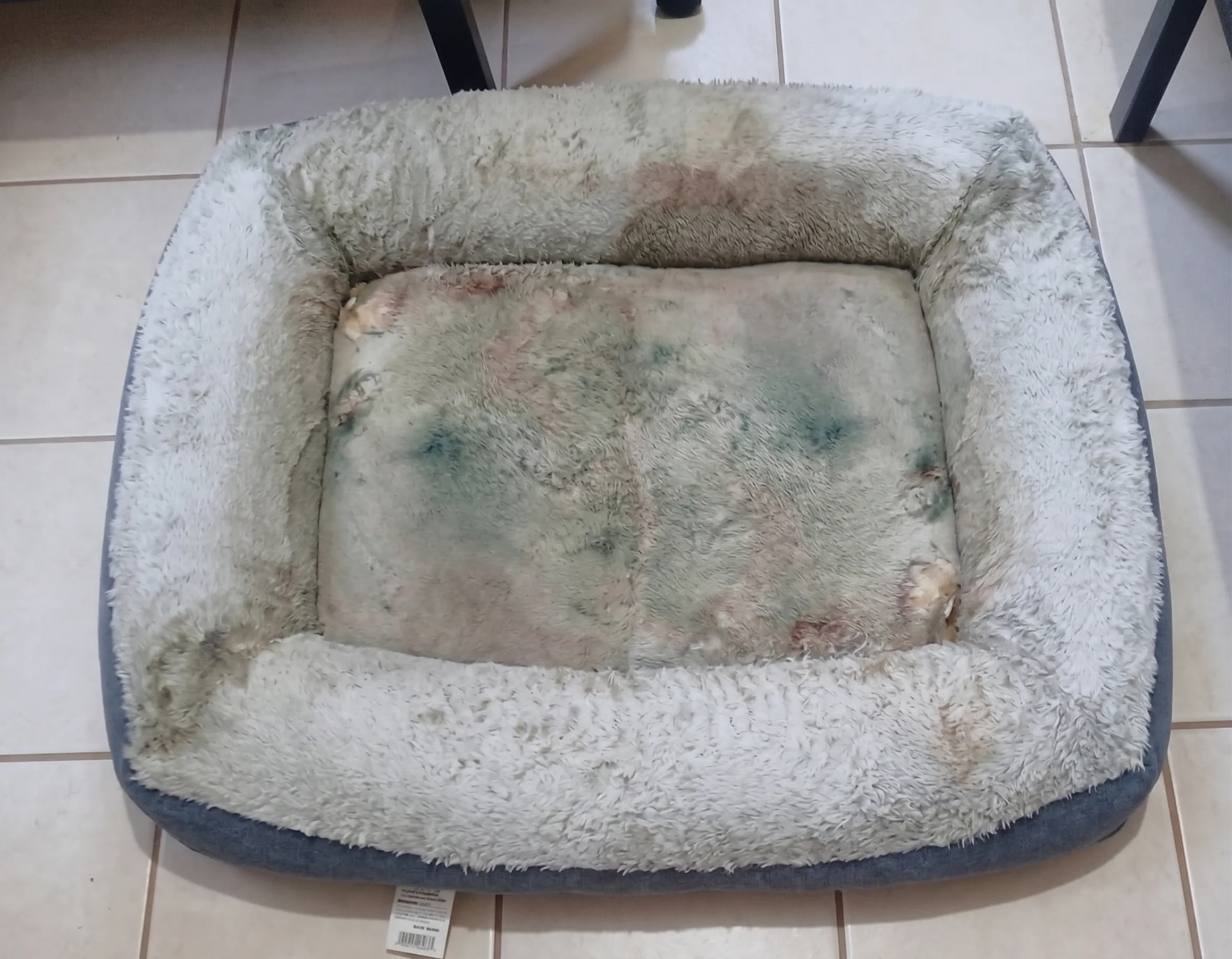Cama de mascota con manchas antes del lavado