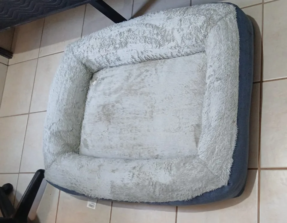 La misma cama de mascota después del lavado