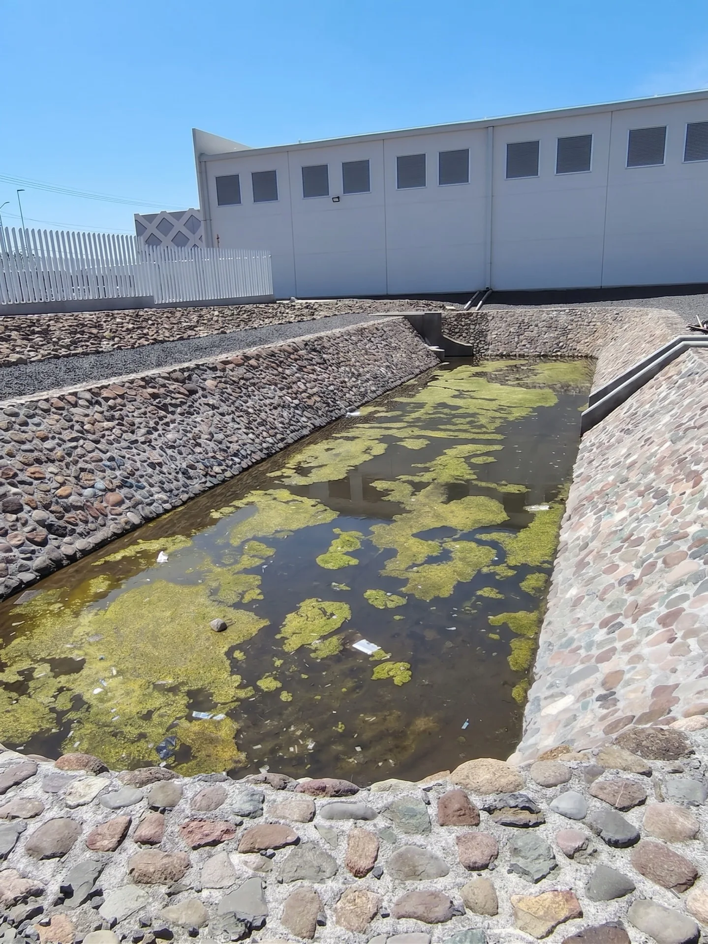 Cárcamo con lama y agua estancada antes de la limpieza