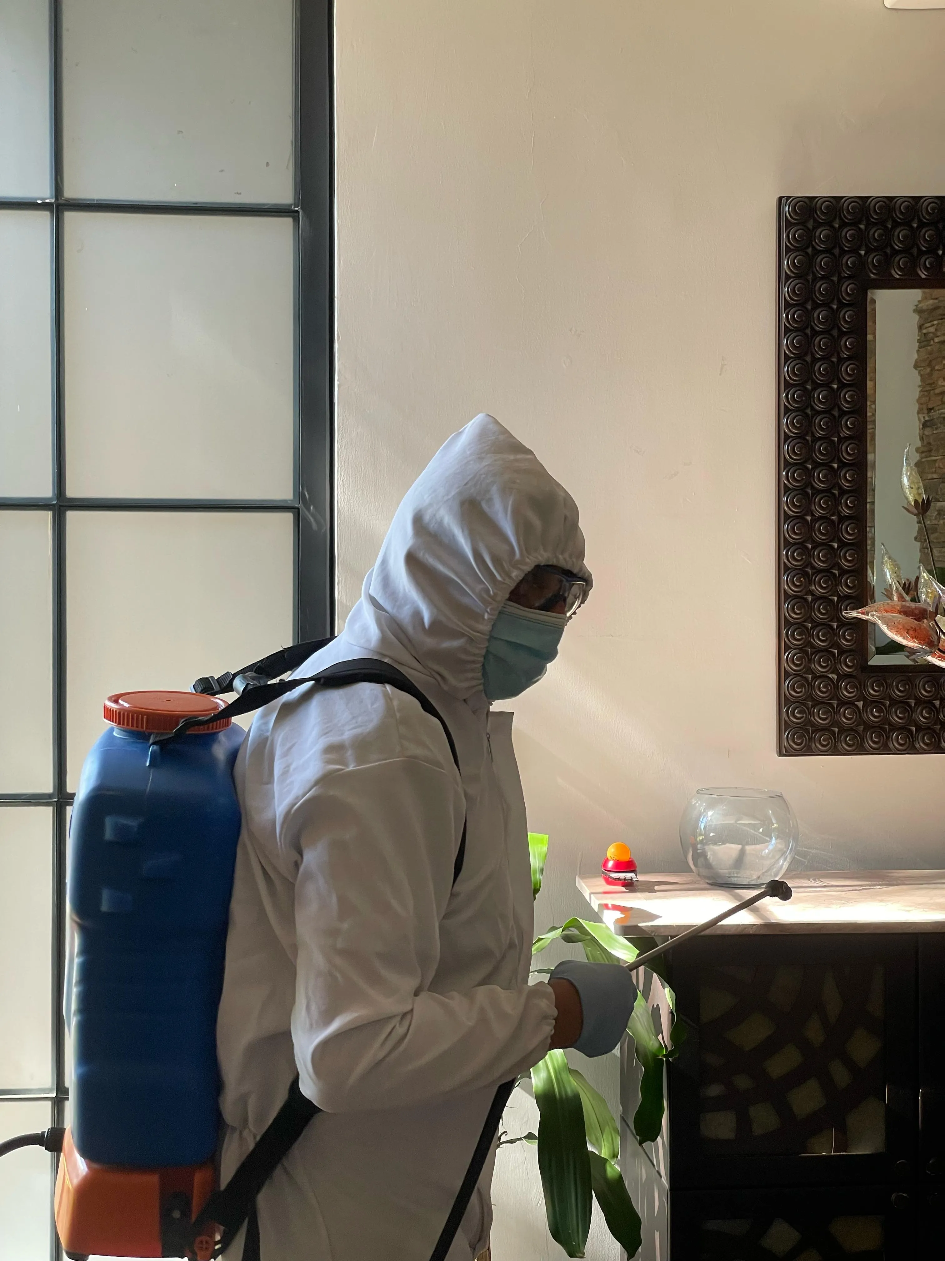 Servicio de limpieza MGCleanogar en gallery 18