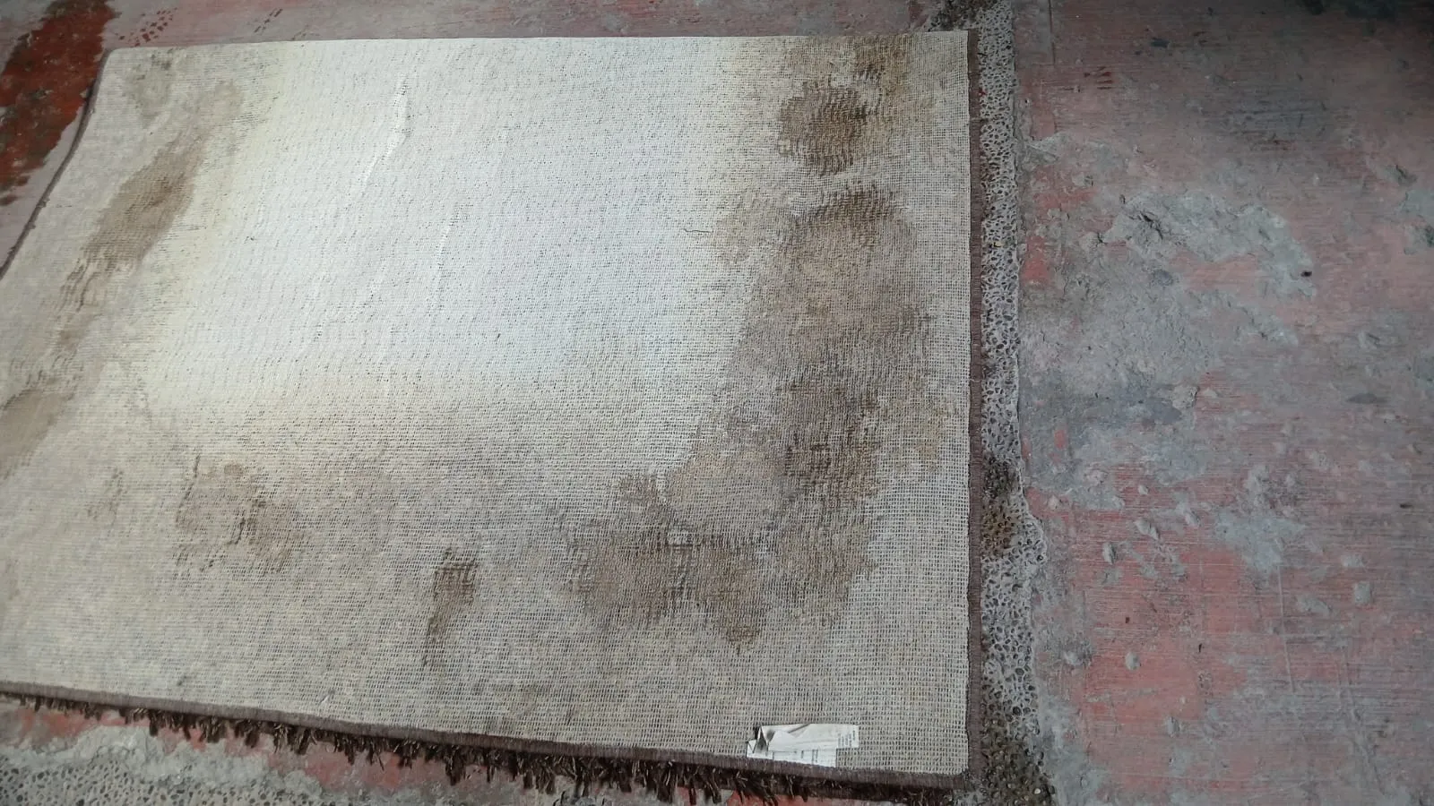 Servicio de limpieza MGCleanogar en gallery 24