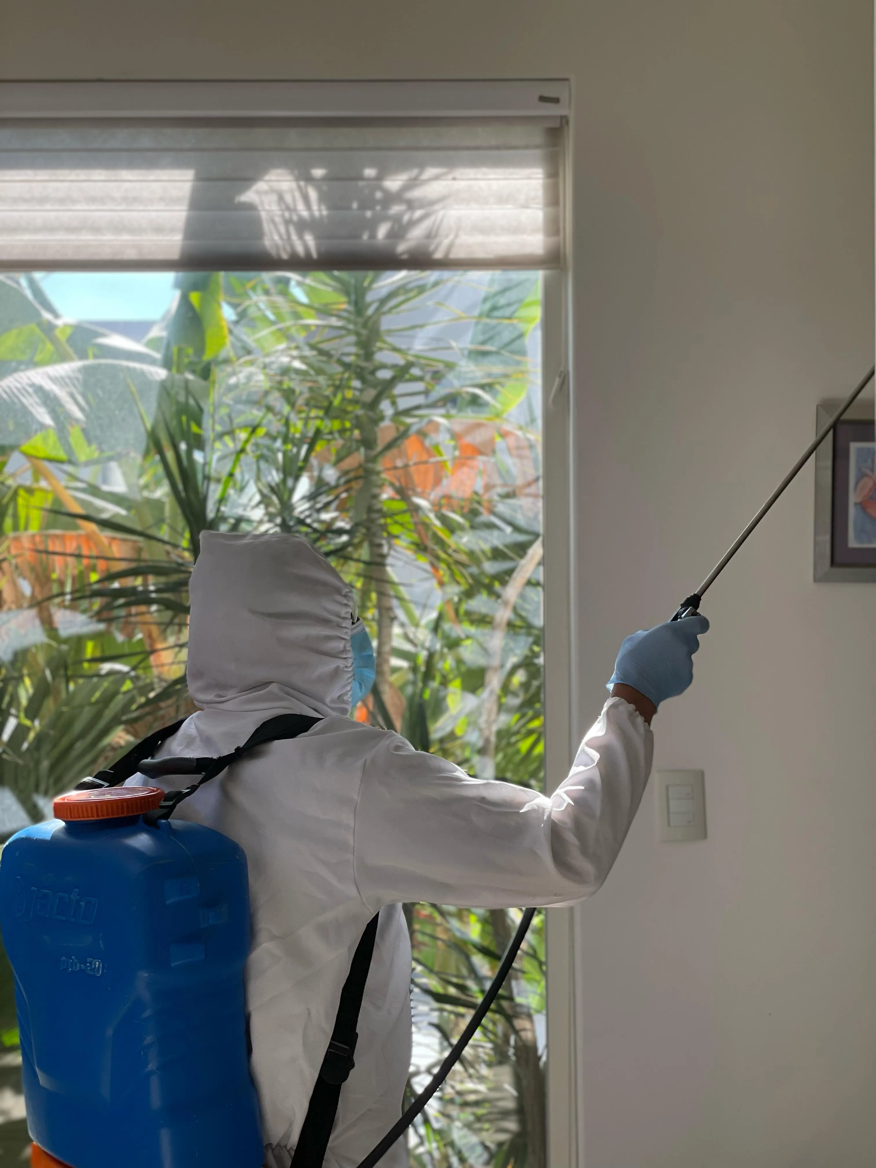 Servicio de limpieza MGCleanogar en gallery 49