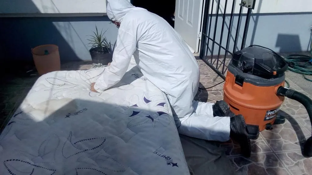 Servicio de limpieza MGCleanogar en gallery 58