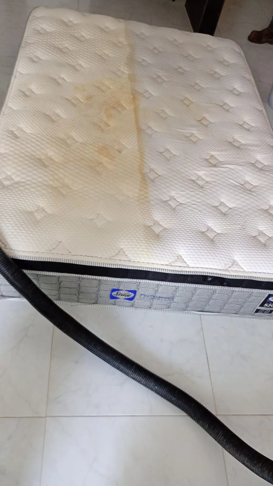 Servicio de limpieza MGCleanogar en gallery 62