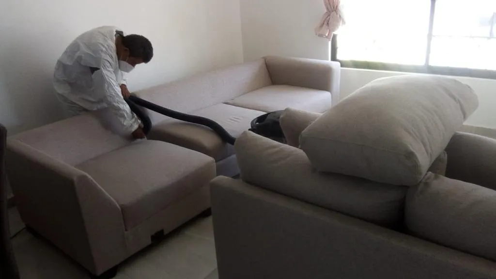 Servicio de limpieza MGCleanogar en gallery 72