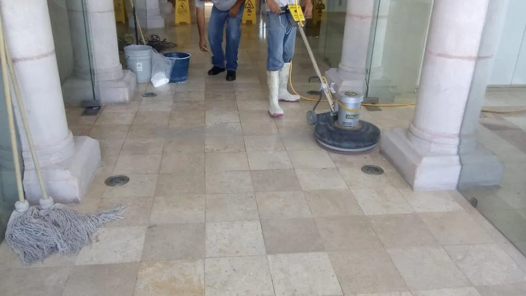 Servicio de limpieza MGCleanogar en gallery 84