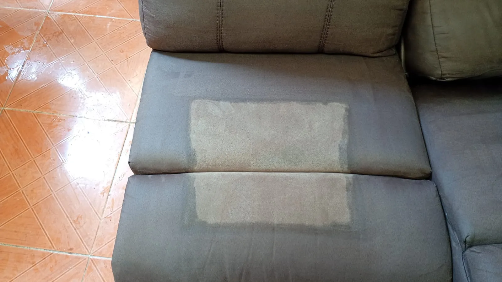 Servicio de limpieza MGCleanogar en gallery 109