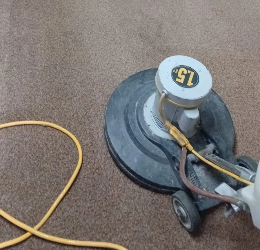 Servicio de limpieza MGCleanogar en gallery 143