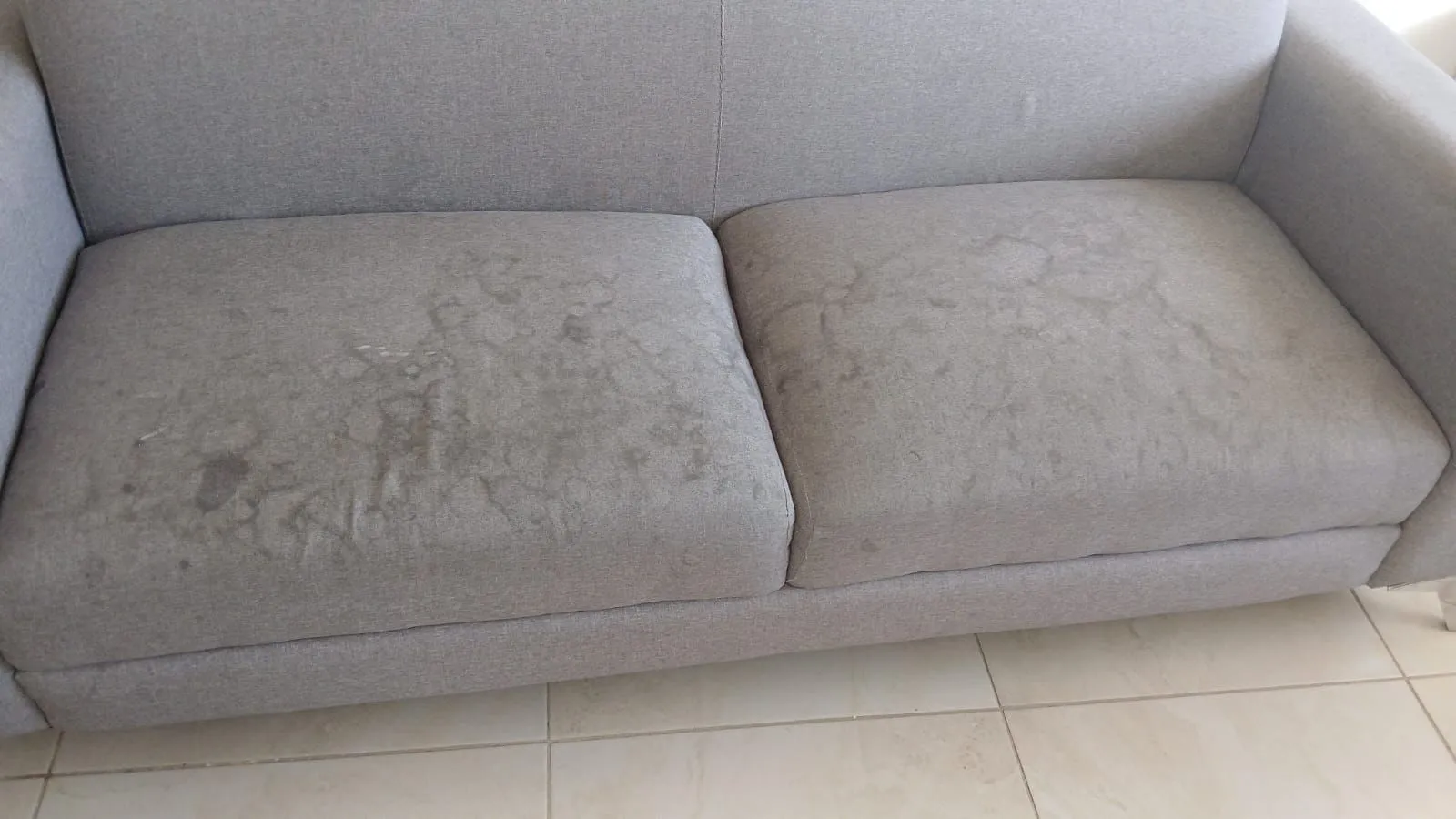 Servicio de limpieza MGCleanogar en gallery 146