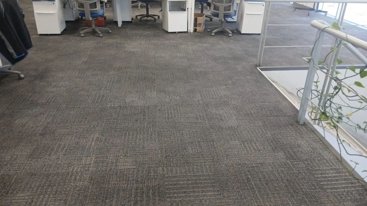 Servicio de limpieza MGCleanogar en gallery 158
