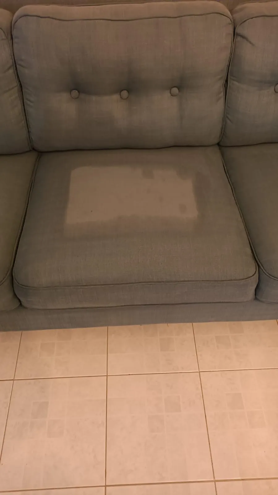Servicio de limpieza MGCleanogar en gallery 162